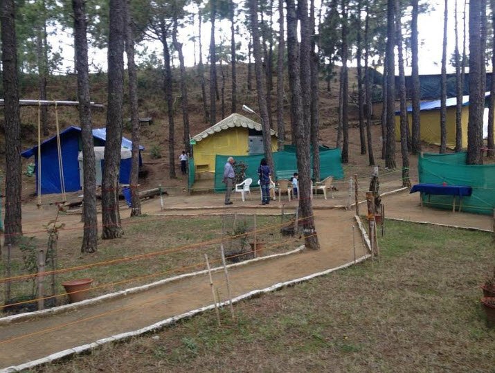 Pine Hills Eco Camp